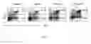 Fig. 17 - Use of common γ chain cytokines for the visualization, isolation and genetic modification of memory T lymphocytes