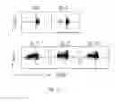 Fig. 19 - Use of common γ chain cytokines for the visualization, isolation and genetic modification of memory T lymphocytes