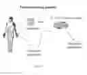 Fig. 28 - Use of common γ chain cytokines for the visualization, isolation and genetic modification of memory T lymphocytes