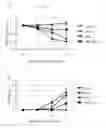 Fig. 40 - Use of common γ chain cytokines for the visualization, isolation and genetic modification of memory T lymphocytes