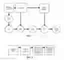 Fig. 02 - Compositions and methods related to organ or tissue decellularization