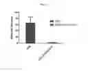 Fig. 08 - MODIFIED FVIII APITOPE PEPTIDES