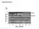 Fig. 04 - Polypeptide vaccine