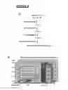 Fig. 10 - Polypeptide vaccine