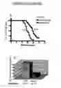 Fig. 12 - Polypeptide vaccine
