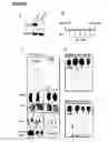 Fig. 18 - Polypeptide vaccine