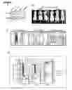 Fig. 20 - Polypeptide vaccine