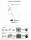 Fig. 25 - Polypeptide vaccine