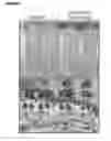 Fig. 28 - Polypeptide vaccine