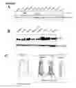 Fig. 29 - Polypeptide vaccine