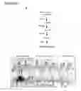 Fig. 36 - Polypeptide vaccine