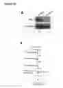 Fig. 44 - Polypeptide vaccine