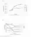 Fig. 02 - Leptospira with increased antigenic mass