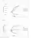 Fig. 08 - Leptospira with increased antigenic mass