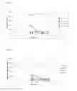 Fig. 09 - Leptospira with increased antigenic mass