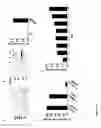Fig. 04 - Method for treating infections