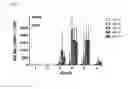 Fig. 04 - Vaccine composition for naive subjects