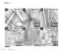 Fig. 03 - HYDROGELATORS COMPRISING D-AMINO ACIDS