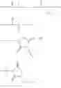 Fig. 28 - Carrier-linked prostanoid prodrugs
