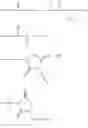 Fig. 31 - Carrier-linked prostanoid prodrugs