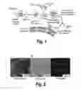 Fig. 02 - COPOLYMERS FOR THE DELIVERY OF DRUGS INTO CELLS
