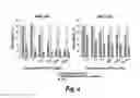 Fig. 04 - COPOLYMERS FOR THE DELIVERY OF DRUGS INTO CELLS