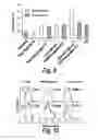 Fig. 07 - COPOLYMERS FOR THE DELIVERY OF DRUGS INTO CELLS