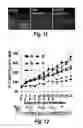 Fig. 08 - COPOLYMERS FOR THE DELIVERY OF DRUGS INTO CELLS