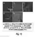 Fig. 09 - COPOLYMERS FOR THE DELIVERY OF DRUGS INTO CELLS