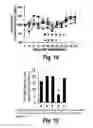 Fig. 10 - COPOLYMERS FOR THE DELIVERY OF DRUGS INTO CELLS