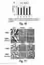 Fig. 11 - COPOLYMERS FOR THE DELIVERY OF DRUGS INTO CELLS