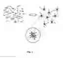 Fig. 02 - MAGNETIC NANOPARTICLES, COMPOSITES, SUSPENSIONS AND COLLOIDS WITH HIGH SPECIFIC ABSORPTION RATE (SAR)