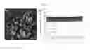 Fig. 07 - Two-photon probe for detecting copper(II) ion and quantitative estimation of copper(II) ion in human tissue using the same