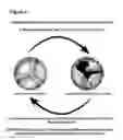 Fig. 07 - DEVICES AND METHODS FOR INHIBITING STENOSIS, OBSTRUCTION, OR CALCIFICATION OF A NATIVE HEART VALVE, STENTED HEART VALVE OR BIOPROSTHESIS