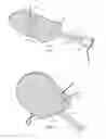 Fig. 02 - Vacuum wound device