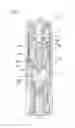 Fig. 02 - Inhalation Device