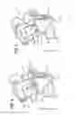 Fig. 08 - Nebuliser for ventilation machines and a ventilation machine comprising such a nebuliser