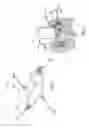Fig. 02 - Portable exercise device