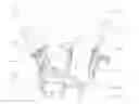 Fig. 01 - DEVICE TO PREVENT INJURIES