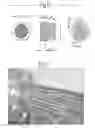 Fig. 04 - Particle extrusion