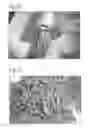 Fig. 06 - Particle extrusion