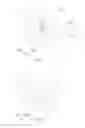 Fig. 08 - Coupling device of jig