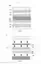 Fig. 03 - Colour imaging of security document precursors