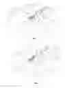 Fig. 06 - Stroller