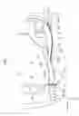 Fig. 02 - Vehicle front portion structure
