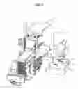 Fig. 06 - Stand up sit down (SUSD) vehicle's
