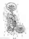 Fig. 03 - Vehicle steering system