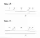Fig. 04 - Panel member, aircraft main wing, and method for forming panel member