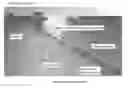 Fig. 01 - Gas gun launcher