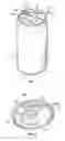 Fig. 02 - BEVERAGE CONTAINER DEVICE FOR OPENING A DRINKING APERTURE AND VENTILATION APERTURE